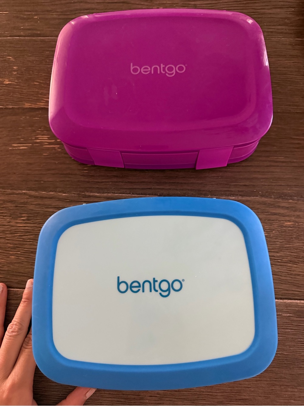 Bentgo Kids Lunch Boxes - Purple & Blue